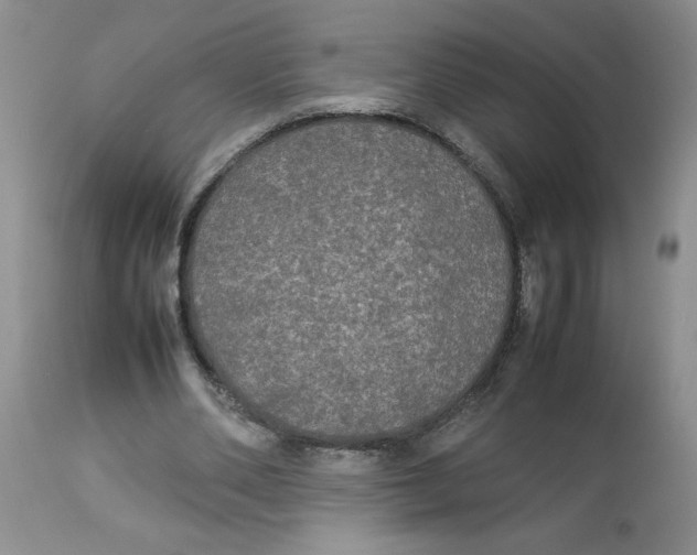 X0000112830486200909181653