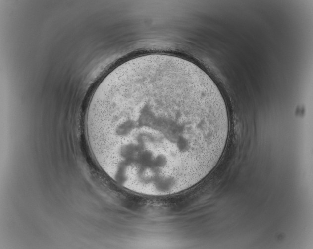 X0000112830487200909181653