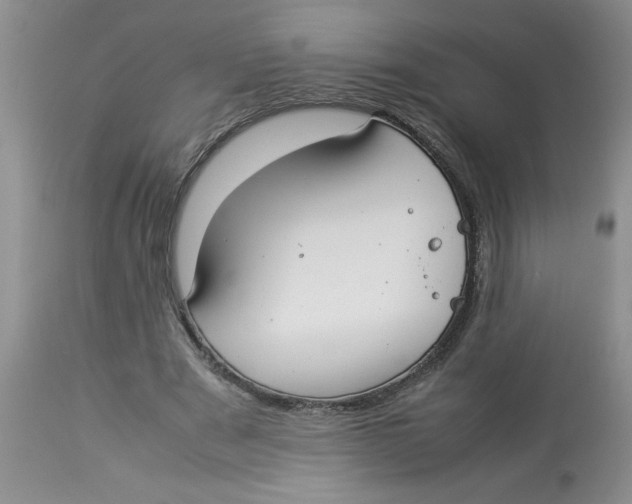 X0000112830489200909181653