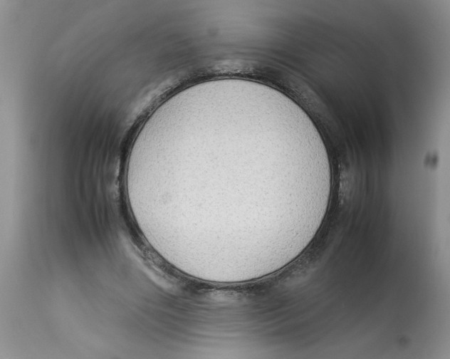 X0000112830490200909181653