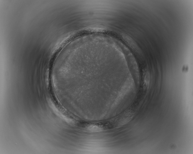 X0000112830494200909181653