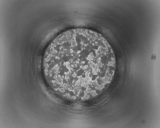 X0000112830495200909181653