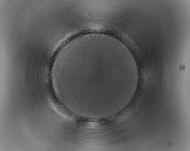 X0000112830496200909181653