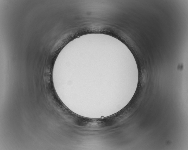 X0000112830497200909181653