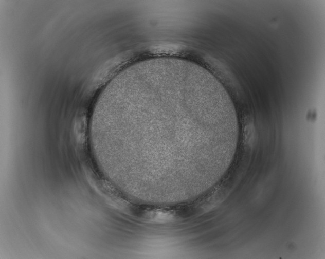 X0000112830498200909181653