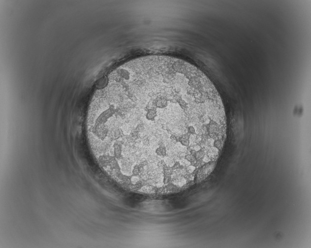 X0000112830499200909181653