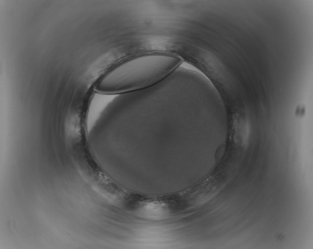 X0000112830500200909181653