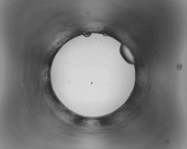 X0000112830501200909181653