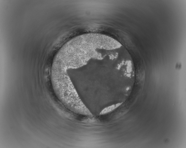 X0000112830503200909181653