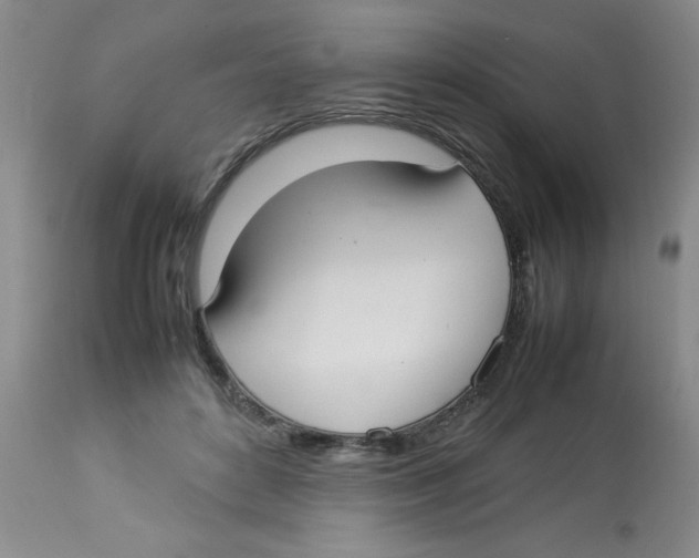 X0000112830504200909181653