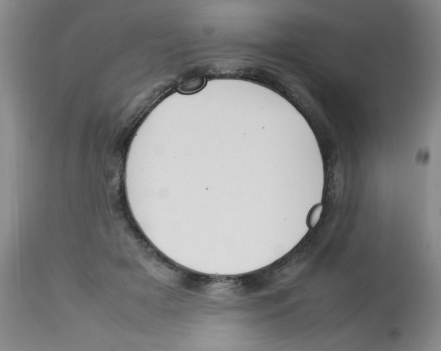 X0000112830505200909181653