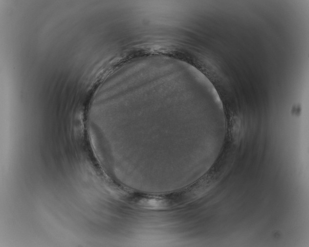 X0000112830506200909181653