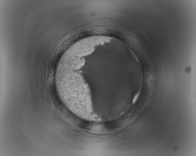 X0000112830507200909181652