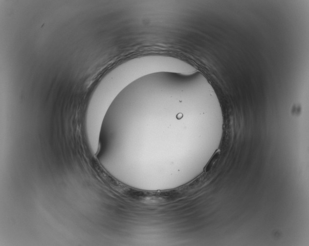 X0000112830508200909181652