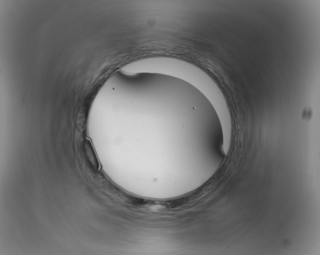 X0000112830509200909181652