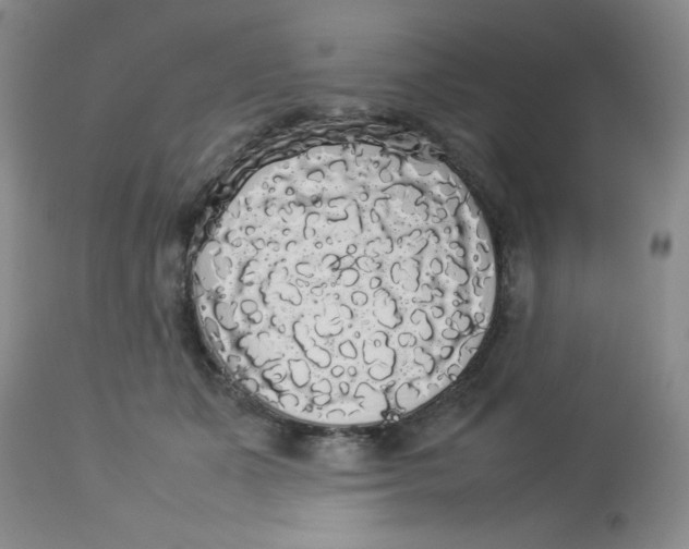 X0000112830511200909181652