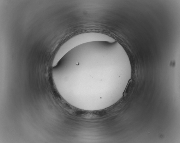 X0000112830512200909181652