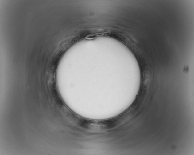 X0000112830515200909181652