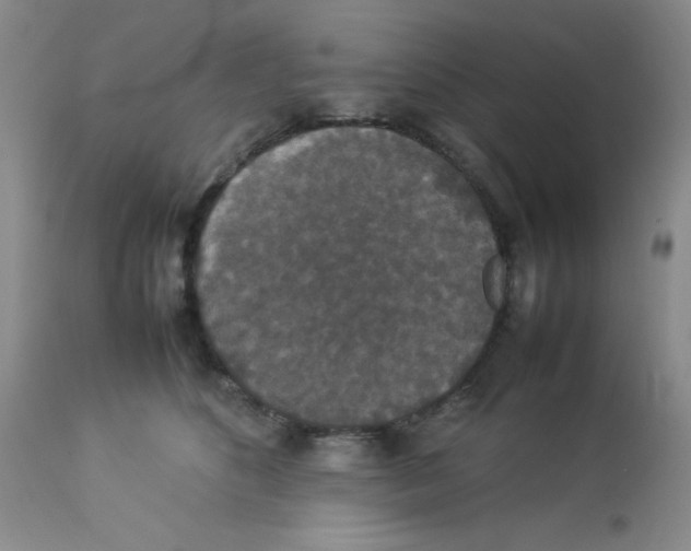 X0000112830516200909181652