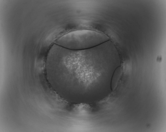 X0000112830517200909181652