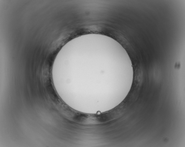 X0000112830518200909181652