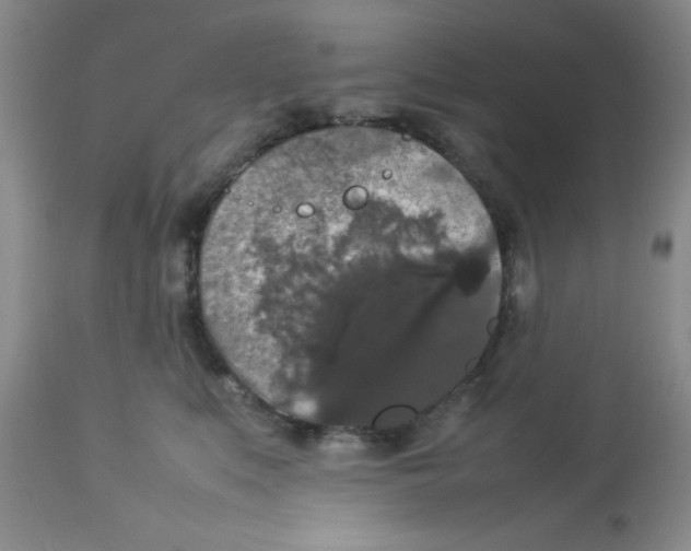 X0000112830519200909181652