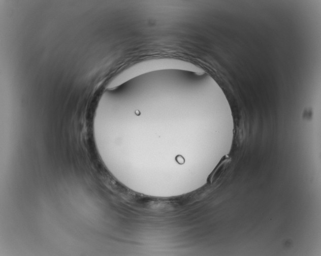 X0000112830520200909181652