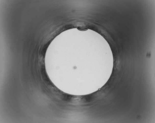 X0000112830521200909181652