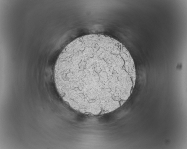 X0000112830523200909181652