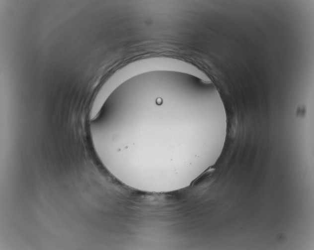 X0000112830524200909181652