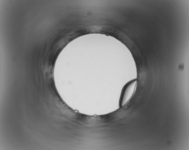 X0000112830525200909181652