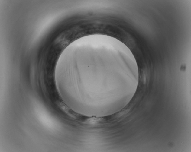 X0000112830526200909181652