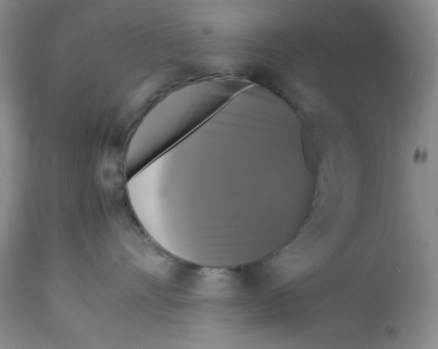 X0000112830528200909181652