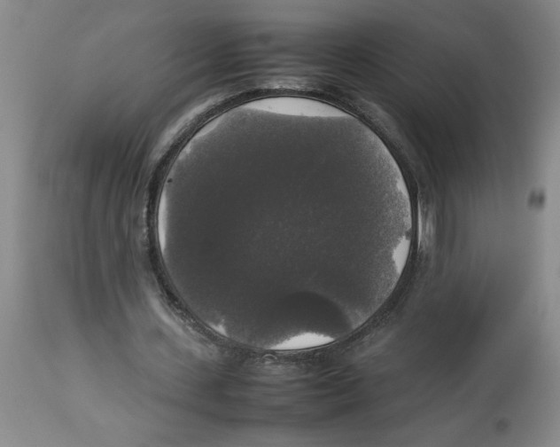 X0000112830531200909181651