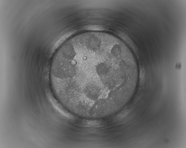 X0000112830533200909181651