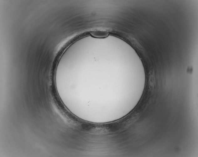 X0000112830536200909181651