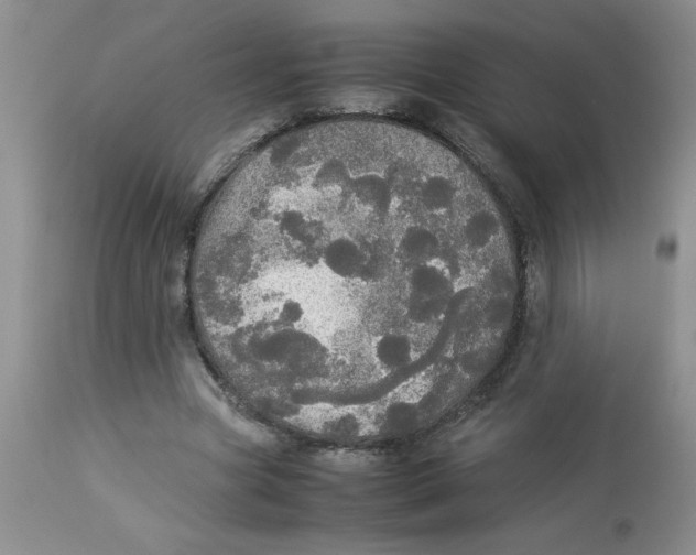 X0000112830537200909181651