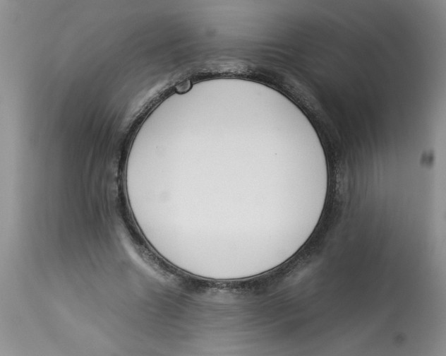 X0000112830538200909181652