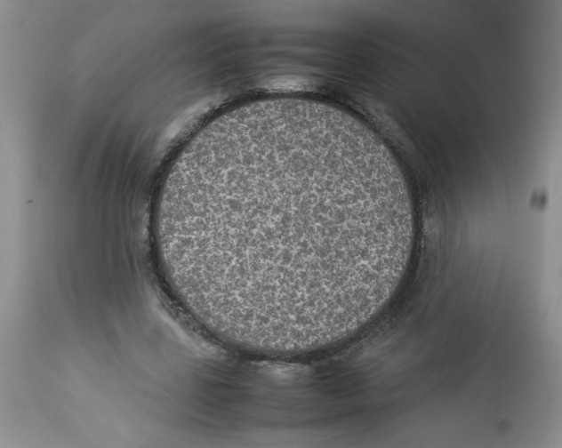 X0000112830539200909181652