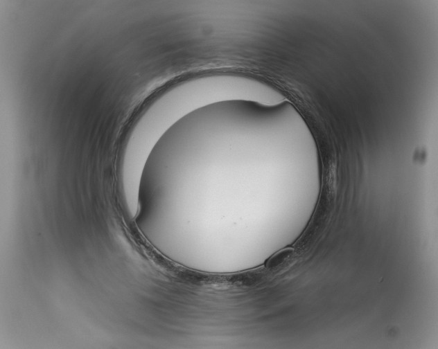 X0000112830540200909181652