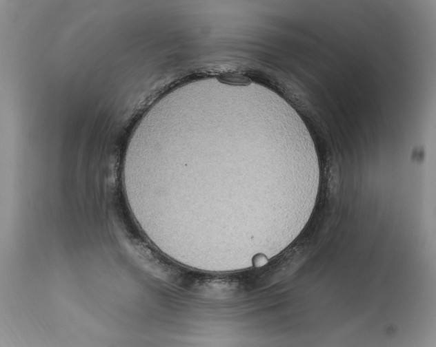 X0000112830546200909181652