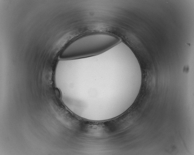 X0000112830548200909181652