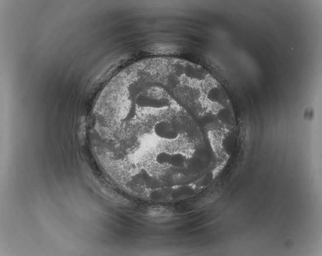 X0000112830549200909181652