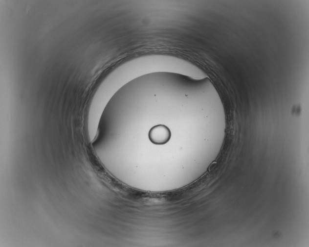 X0000112830552200909181652