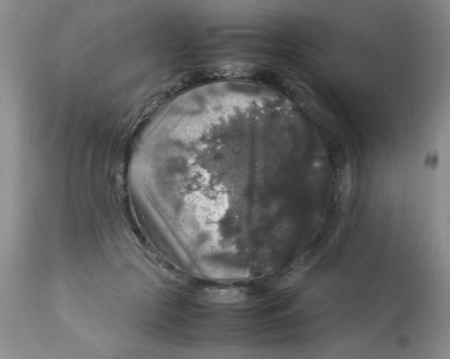 X0000112830553200909181652