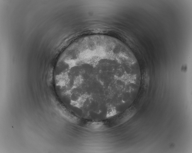 X0000112830554200909181652