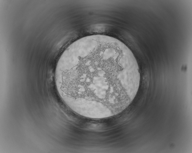 X0000112830555200909181652