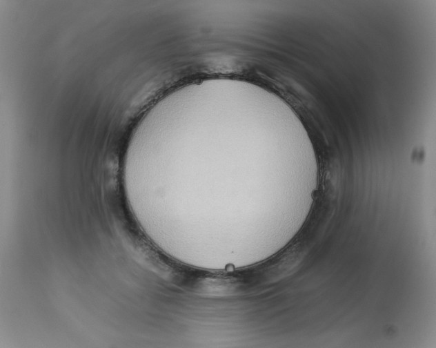 X0000112830556200909181652