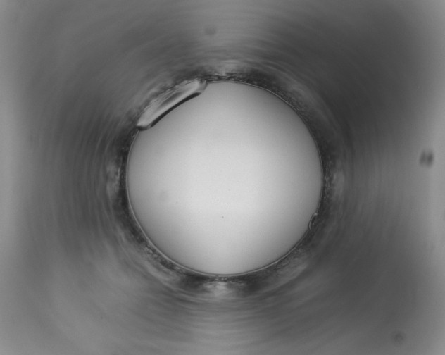 X0000112830558200909181652