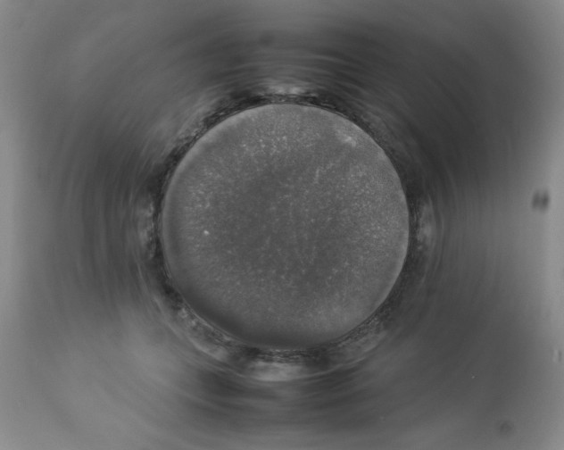 X0000112830559200909181652